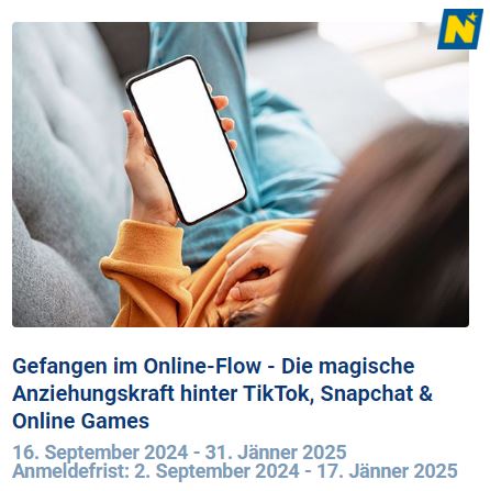 Gefangen im Flow Die magische Anziehungskraft hinter TikTok, SnapChat und Online Games - Workshop für Schulklassen in Niederösterreich